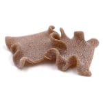 Stracci Toscani Integrali